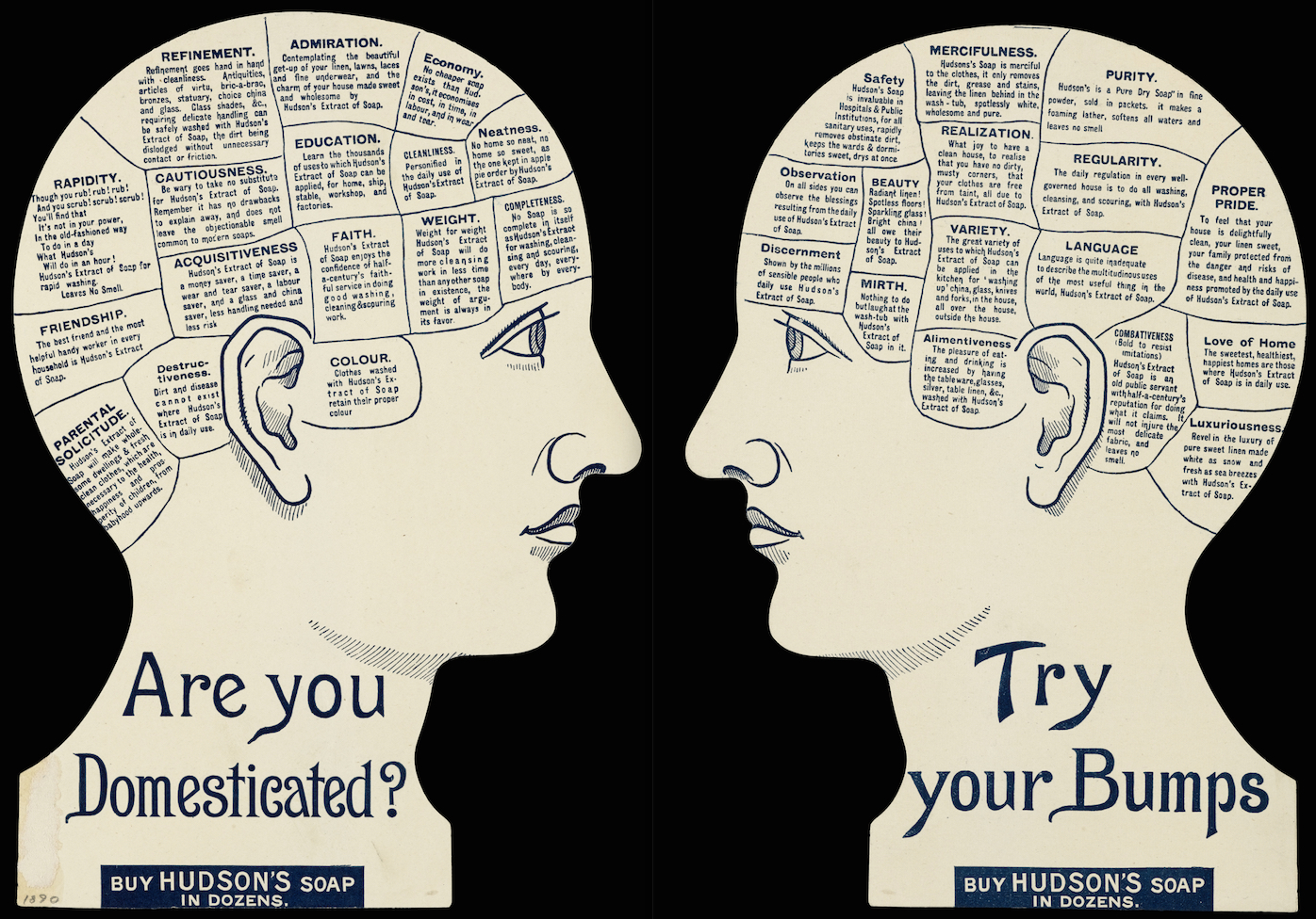 are you domesticated?