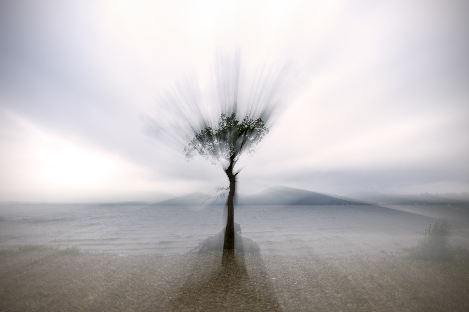 representing my local landscape (a post from Tom)