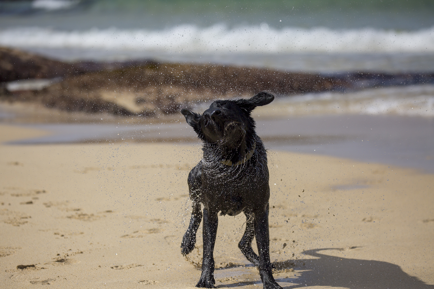 a postcard from Bruce