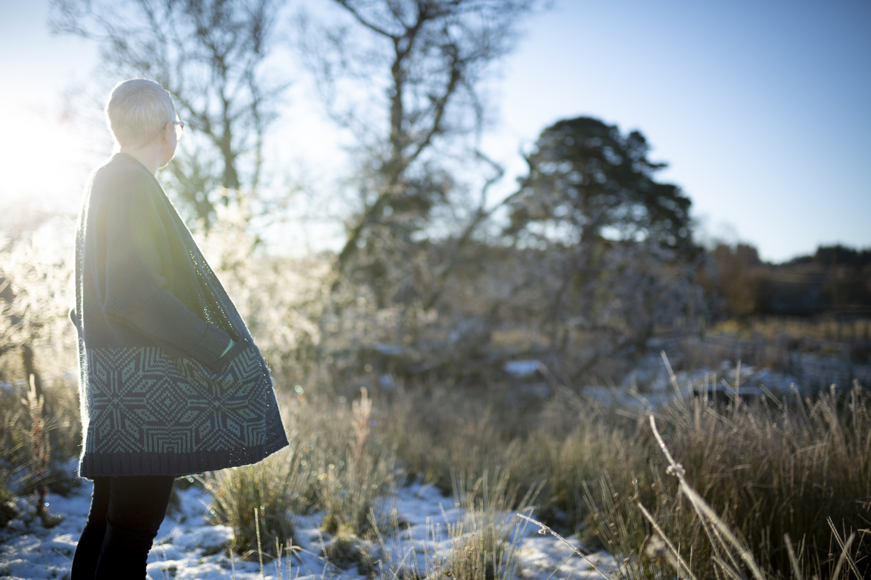 two-shade Sterntaucher