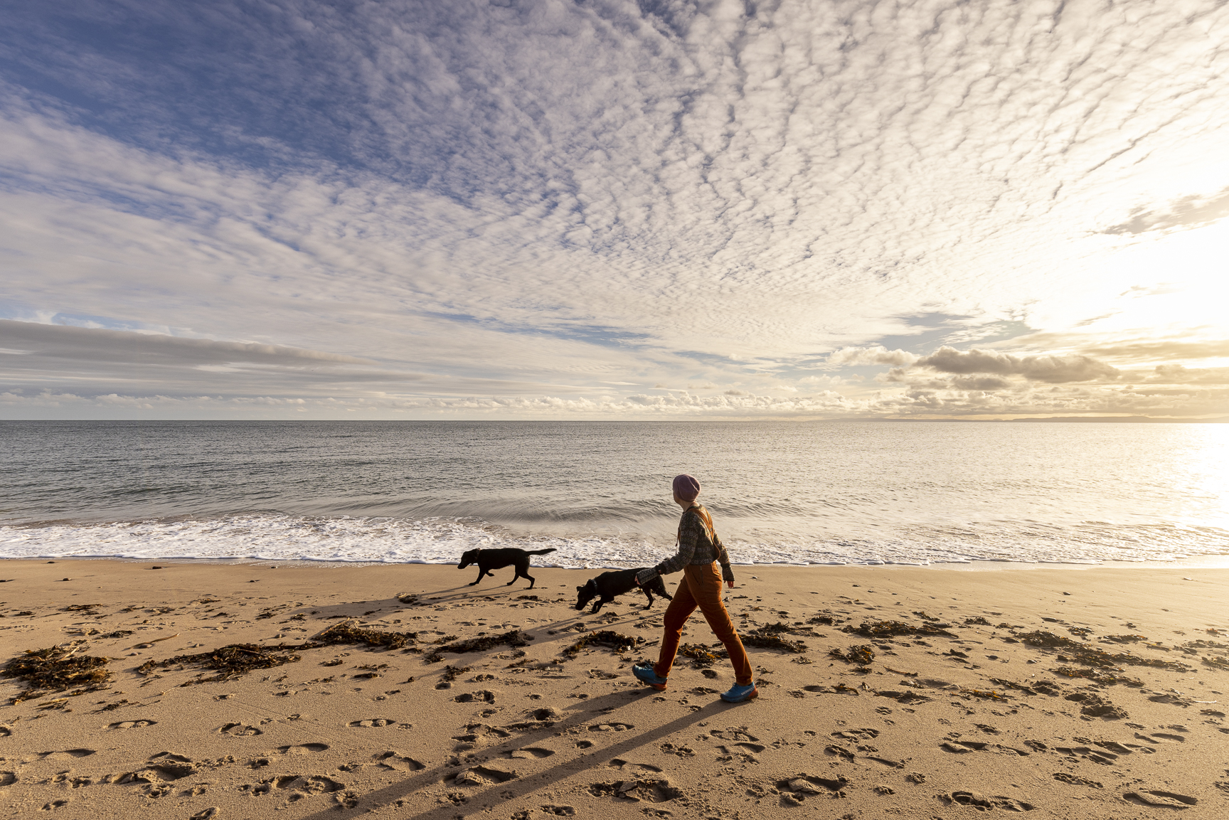 a three project year