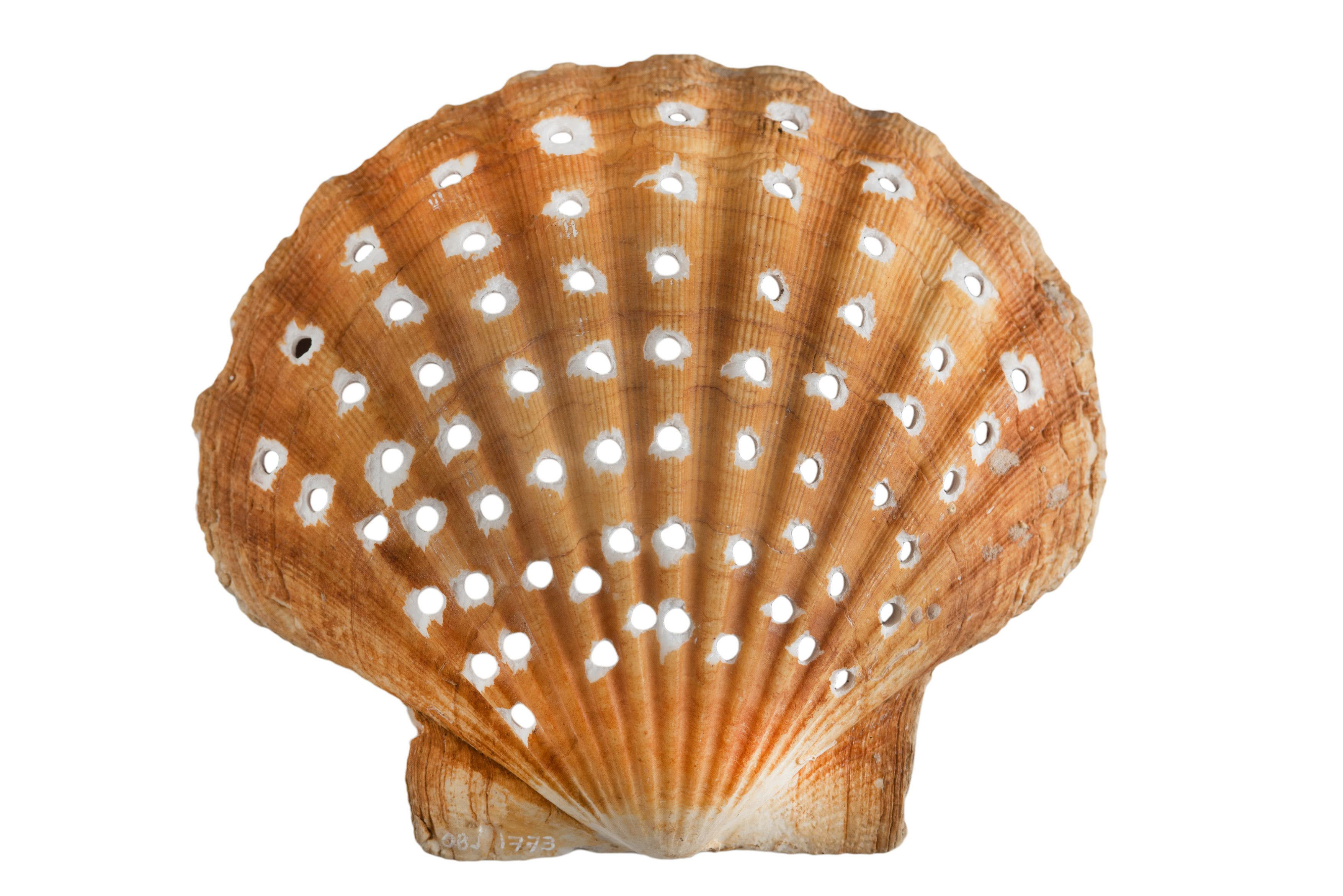 Knitting Wester Ross